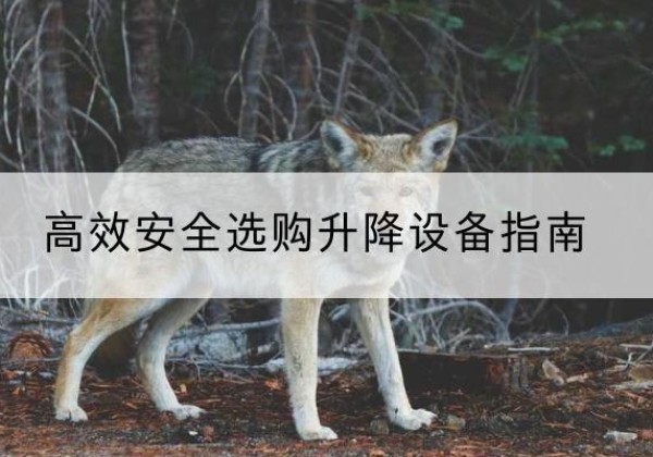 漳浦升降货梯厂家推荐-*安全选购升降设备指南