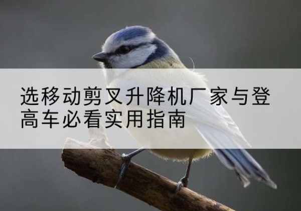 漳浦电动升降机厂家-选移动剪叉升降机厂家与登高车必看实用指南