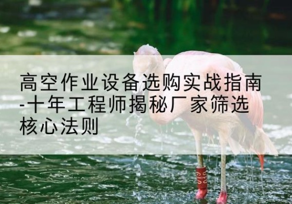 漳浦剪叉式升降机厂家-高空作业设备选购实战指南-十年工程师揭秘厂家筛选核心法则
